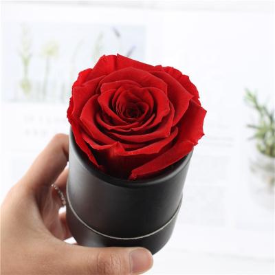 China China Hot Selling Durable Eternal Preserved Roses In Gift Box Gifts Forever for sale