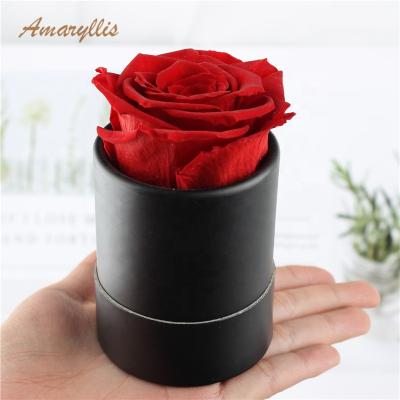 China Preserved Celebration Gifts Amaryllis Christmas Valentine's Day Birthday Gifts Roses True Gift Box for sale