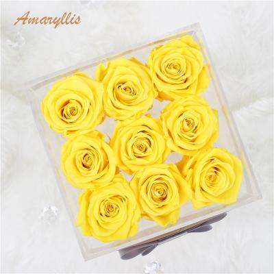 China Packaging Everlasting Preserved Roses Amaryllis Boxes Eternal Preserved Roses Forever In Most Durable Acrylic Boxes for sale