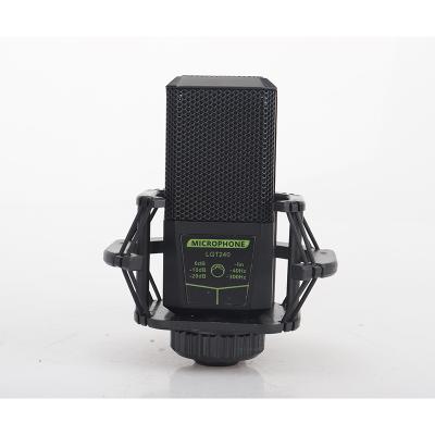 China Other Quality Condenser Microphone LGT240 Large Capsule Studio Equipment Home Recording Microphone for sale