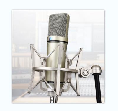 China High quality clear sound interesting microphone buy high quality professional studio recording condenser microphone for sale