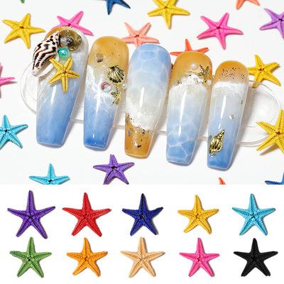 China 2021 Practice Salon Art Summer Beach Nature Starfish for Nail Art Decoration Nail Art Sea Star Mini Small Starfish Real for sale