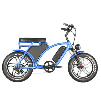 China Electric Bike 1000W Fat Tire Electric Bike 1000W Luxury Fat Tire Electric Bicycle Available With Dual Battery for sale