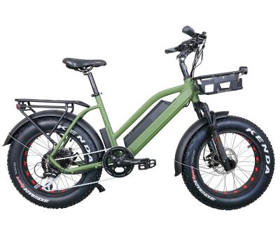 China Aluminum Alloy New Family 20Inches Super FatTire Bike 48V 500W Elektrik Electric City Elektric Bike for sale