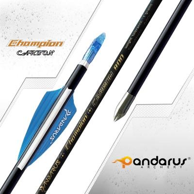 China Professional Target Shooting Pandarus Champion ID4.2mm Pure Carbon Arrows For Target Shooting With .001 Straightness for sale