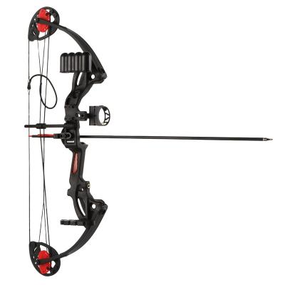 China SHOOTING Youth and Beginner's Small and Light Compound Bow for Target Shooting or Recreational Play with 18-28lbs for sale