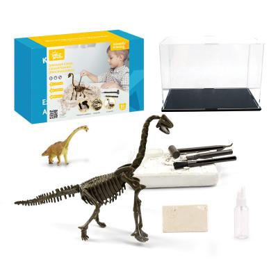 Китай Realistic Jurassic Excavation Kit Juguetes Para Los Ninos Dino Skeleton Early Educational Hot Rod Factory Kidewan Toys Dinosaur Fossil Figure продается