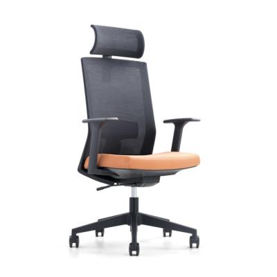 China Black Back Comfortable Mesh Office Chair With Adjustable Movable Headrest for sale