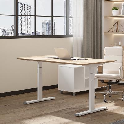 Cina Modern Electric Standing Desk Legno Altezza regolabile Standing Desk in vendita