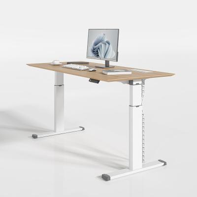 China Electric Office Desk Dual Motor Stand Desk Up Height Adjustable Table for sale