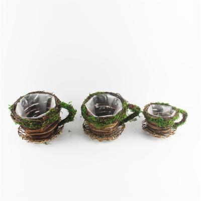 China Eco-friendly Shape Green Moss Material Tea Cup Tea Cups Home Decoration Tea Cups Flower Pots for sale