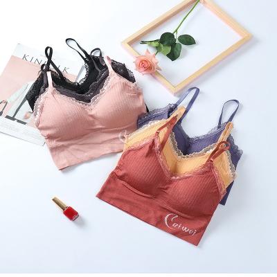 China New girl's seamless bra tube breast style vest fashion style seamless bra hot top back removeable strap seamless pad for sale