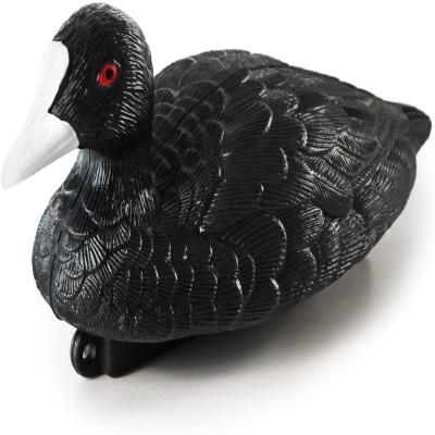 China Realistic Plactic Coot Hunting Decoys Plastic Duck 12