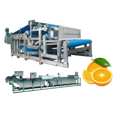 China Full Automatic Juice Beverage Production Line Fresh Beverage Box Triangle Package for sale