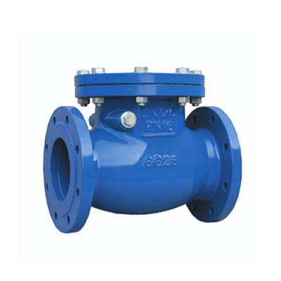 China Factory Price General Ductile Iron Double Flanged Brass Seat Swing Check Valve for sale