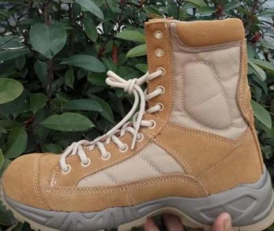 China Combat boot, Tactical Boots Anti Slip boot,military  boot for sale