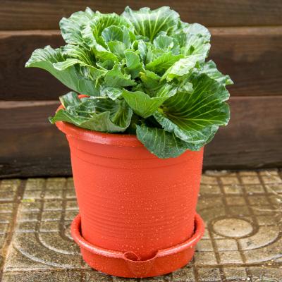 China Eco - Friendly Self Watering 30 Cm Plastic Flower Pots / Planter for sale