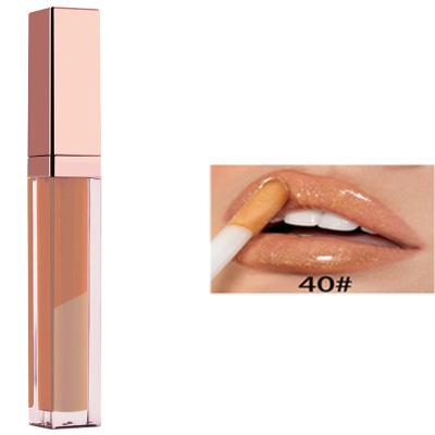 China Wholesale Waterproof Waterproof Non Sticky Beauty Treats Lip Gloss Lip Gloss Oil for sale