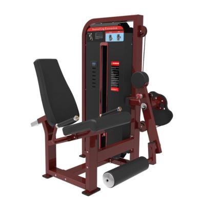 China Bodybuilding Jinggong Fitness Equipment Leg Extension and Strength Training Equipment JG-6727 for sale