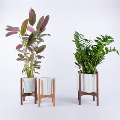 China Eco-Friendly Fox and Fern Mid-Century Modern Wooden Plant Stand - Adjustable Width 8