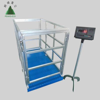 China Check Weighing 1 -- 10 Ton Animal / Livestock Camel / Goat / Livestock Electronic Scale Accept Customized Order for sale