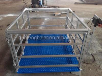 China Q235 Steel Hog Scale Pig Scale Alpaca Sheep Goat Pig Farm Animal Scale With Cage for sale