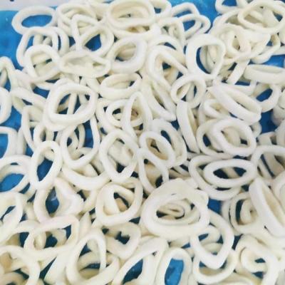 China Squid Nutritious Frozen Ring for sale