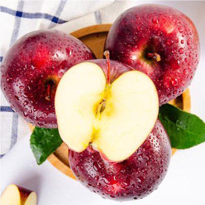 China Fresh juicy fresh fruit Huaniu red delicious Apple of Gansu origin of apple fruit export for sale