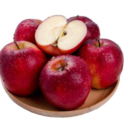 China China fresh high quality fresh fruit apple price for sale