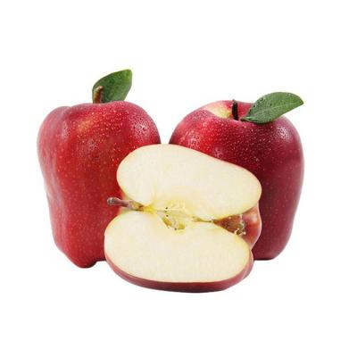 China Huaniu Chinese New Season's Fresh Apple Red Delicious Apple Fresh Apple Price for sale