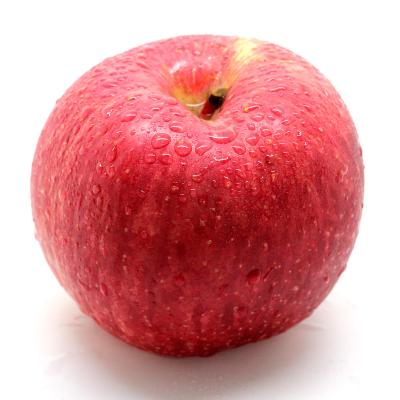 China Fuji apples shangdong fuji apples fuji fresh red apple for sale