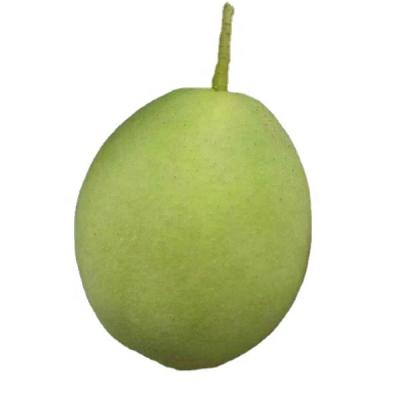 China Natual & Shandong Healthy Green Pear Fruit Pear Su Pear Wholesale Early Exporter for sale