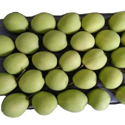 China Natual & healthy fresh pear fruit ya pear in sale shandong pear price for sale