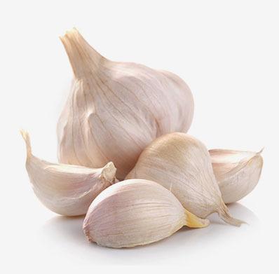 China Fresh high quality normal white garlic for sale