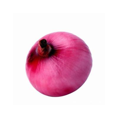 China fresh chinese yellow onions fresh red onion for export for sale