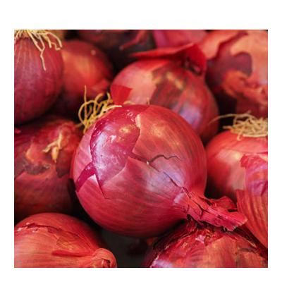 China Bulk Fresh Fresh Red Onion Bulk China Onion From Best Price To Big for sale