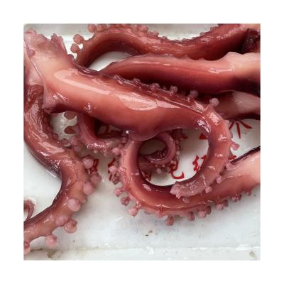 China Price Nutrient Straight Silicon Frozen Breco Giant Squid Tentacle For Thailand Vietnam Market for sale