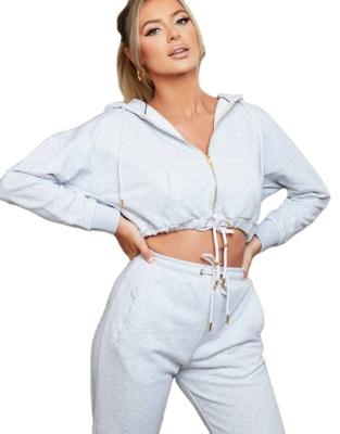 China High Quality Anti-Wrinkle Culture Two Piece Women Cropped Zip Up Hoodie for sale