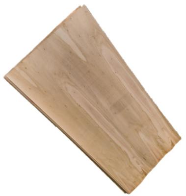 China Wholesale Quality Customized Best Eucalyptus Single Board Drying For Pulp Veneer Factory for sale