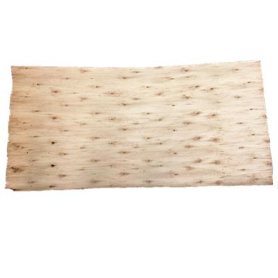 China China Factory Best Price Outdoor Decoration Veneer Eucalyptus Core Drying Sheet for sale