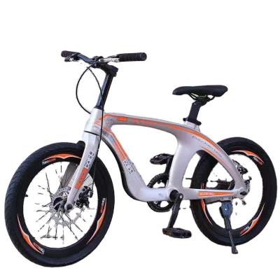 China Magnesium Alloy Magnesium Alloy 20 Inch Mountain Bike Dual Disc Brake Bicycle College Student Bicycle for sale