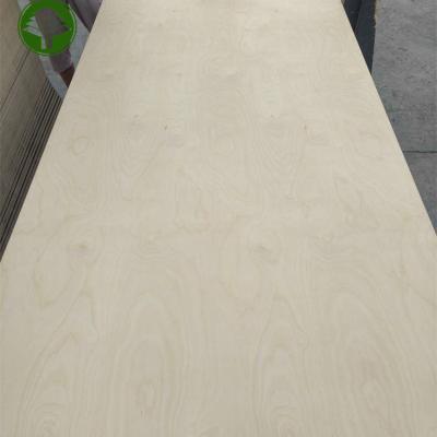 China Traditional Hot Sales 18MM E1 Glue Birch Plywood Poplar Core 2 times hot press Commercial Plywood for sale