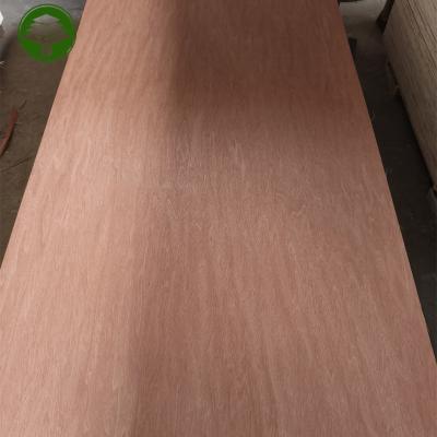 China Modern 18mm 2 Hot Press Poplar Core Bintangor Commercial Plywood For Furniture for sale