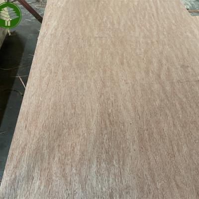 China Modern Cheap Price 18mm 1 Hot Press Poplar Core Bintangor Commercial Plywood for sale