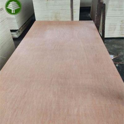 China Modern 18mm High Quality Eucalyptus Core Bintangor Commercial Plywood For Furniture for sale