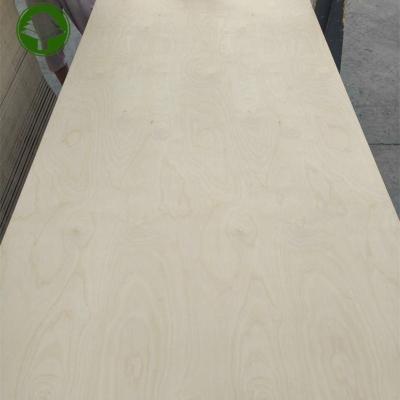 China Traditional Hot Sales 18MM E1 Glue Birch Plywood Combi Core 2 times hot press Commercial Plywood for sale