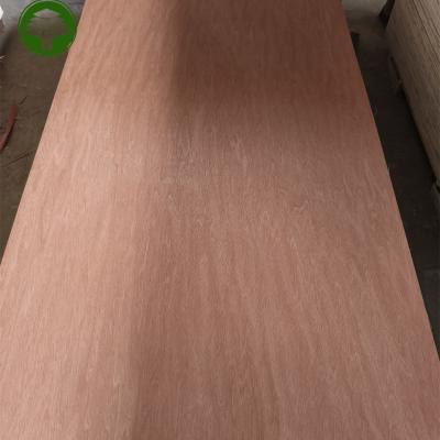 China Traditional Hot sales Plywood price 18mm 2 Times Hot Press Eucalyptus Core E0 Glue Bintangor Plywood for sale