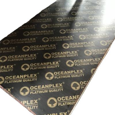 China Traditional OCEANPLEX 18mm black brown marine shuttering film faced plywood for construction for sale