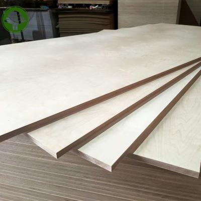 China Traditional CARB P2  C/D grade full birch phenolic glue birch plywood for sale