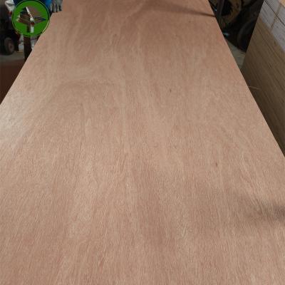 China Traditional 18mm 2 Times Hot Press Poplar Core E1 Glue Bintangor Plywood for sale